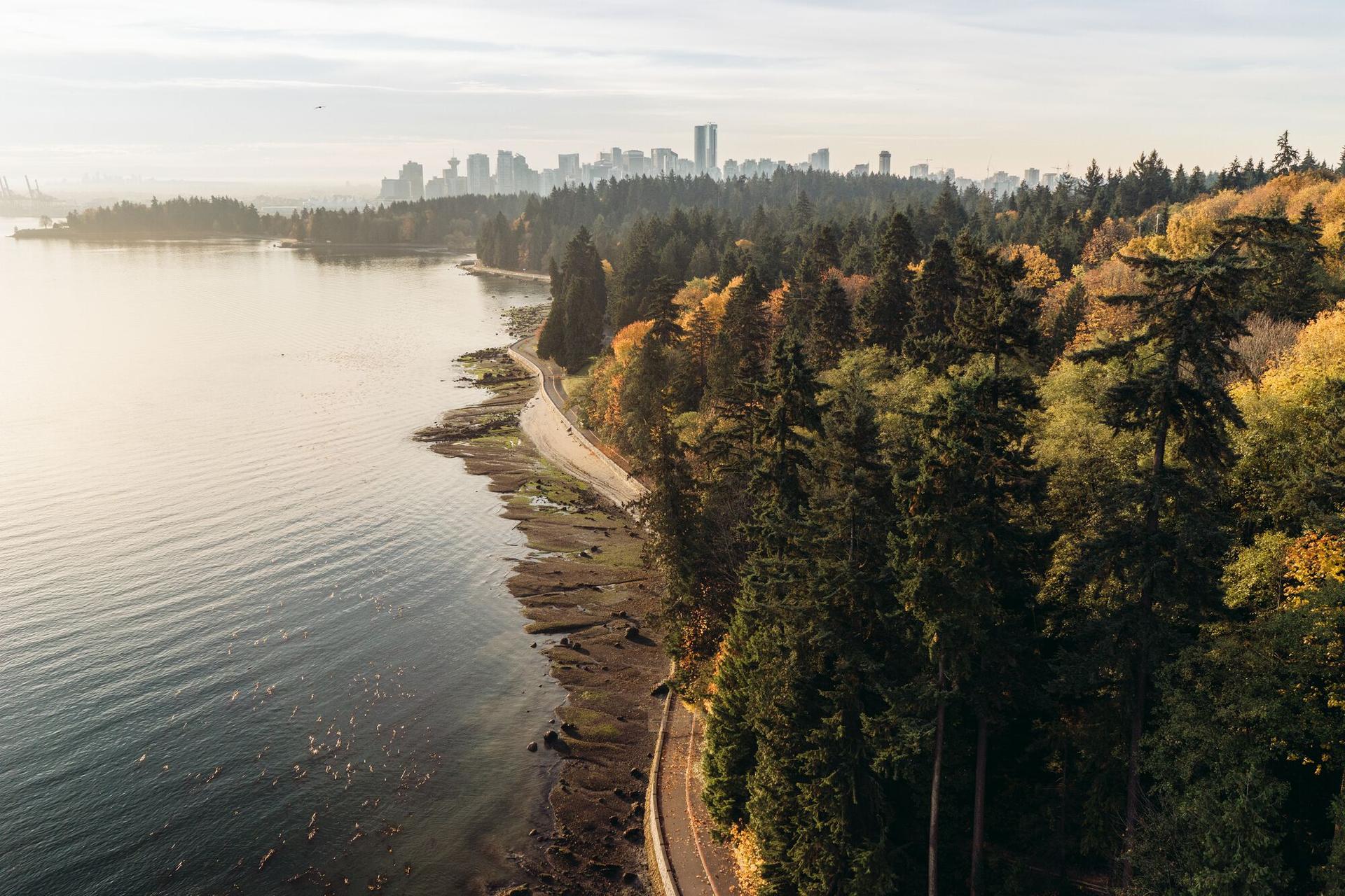 A bike path in Stanley Park, British Columbia