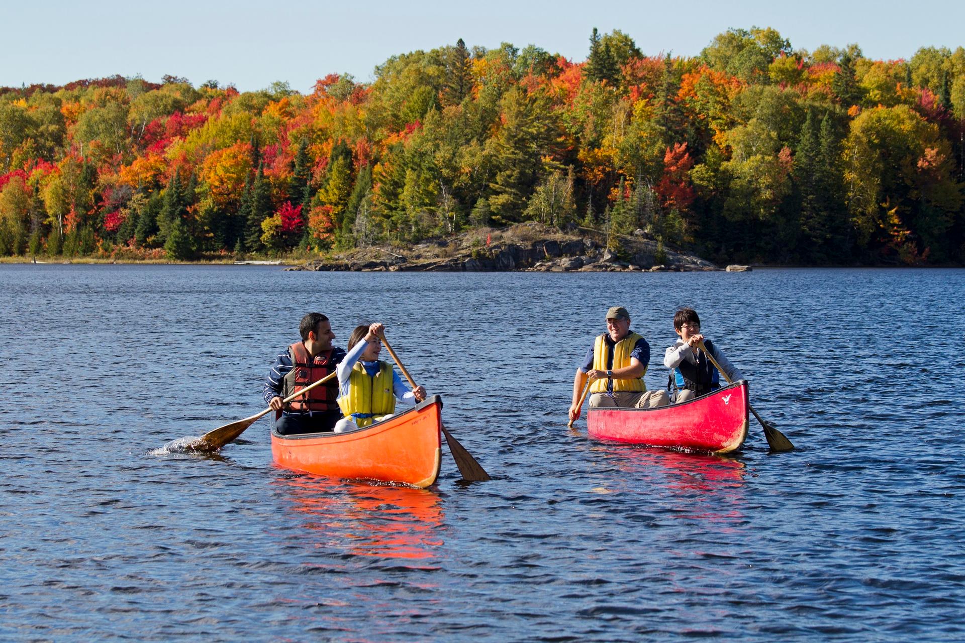 Travellers paddling two canoes in Algonquin Park