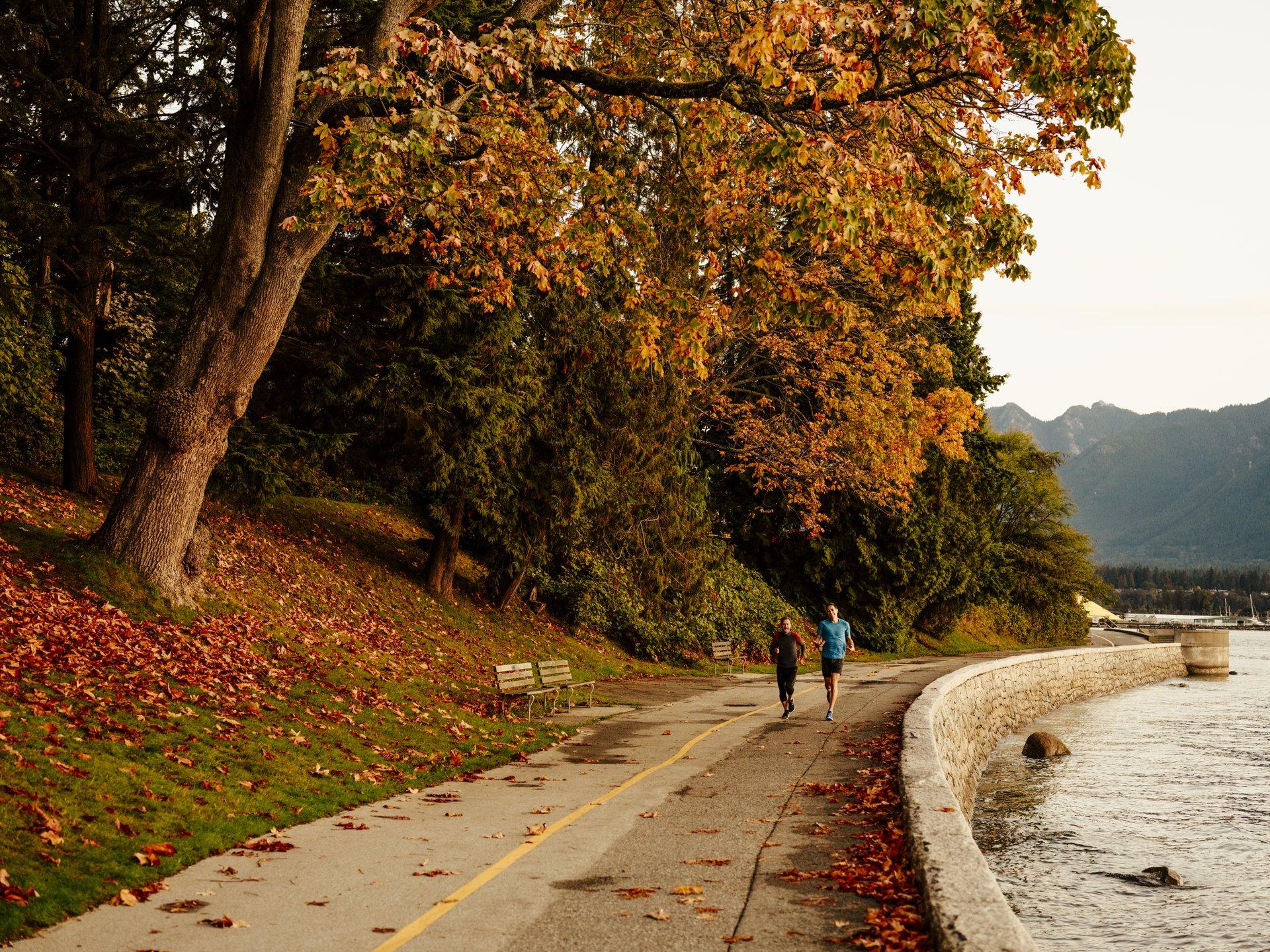 Stanley Park, Vancouver, British Columbia