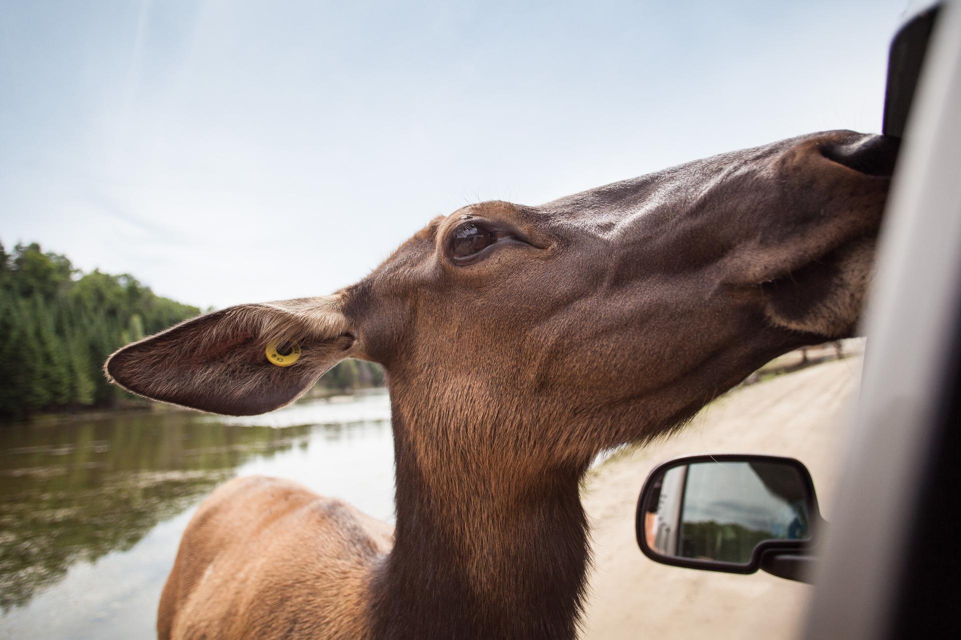 Parc Omega 