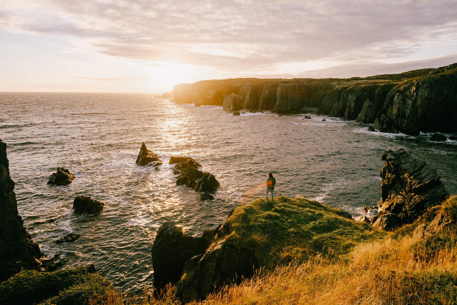 A rocky cliff edge in Newfoundland