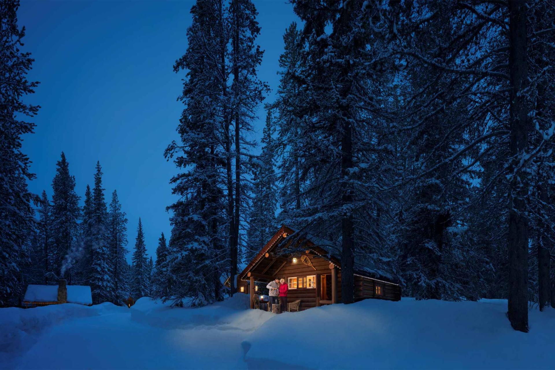 A cottage in a pine forest in the snow