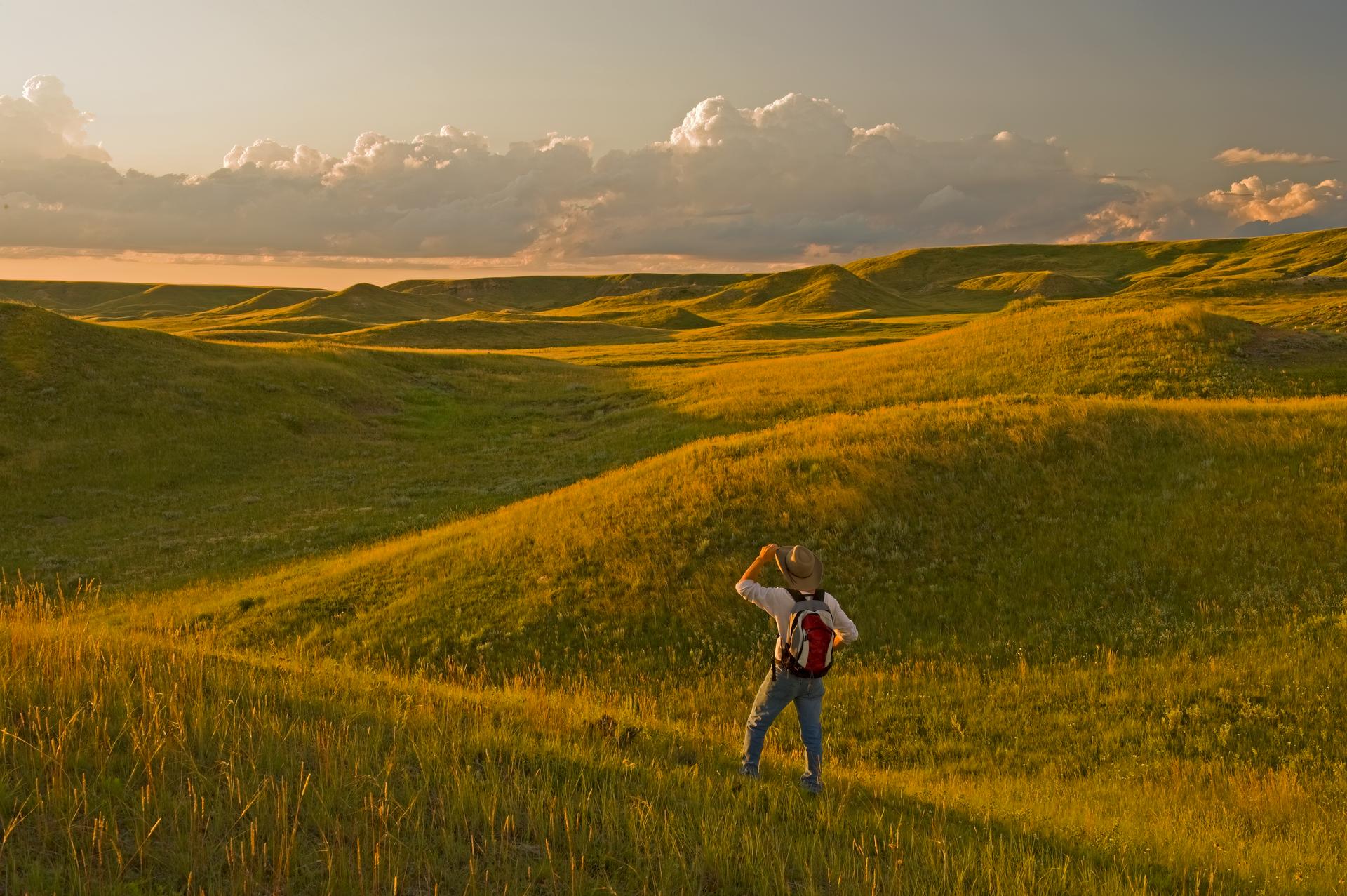 Person wearing a hat and backpack looks out over rolling golden prairie hills at sunset