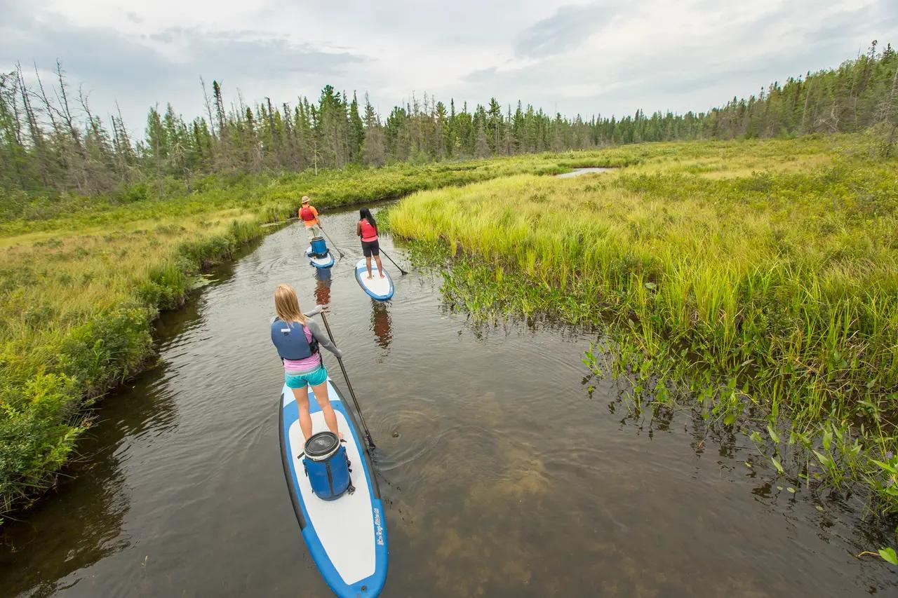 Three paddleboarders gliding single-file along a narrow, winding river channel through lush green wetland marshes in Northern Ontario — one of the region's many ways to explore its vast, unspoiled waterways at a relaxed pace amid pristine wilderness.