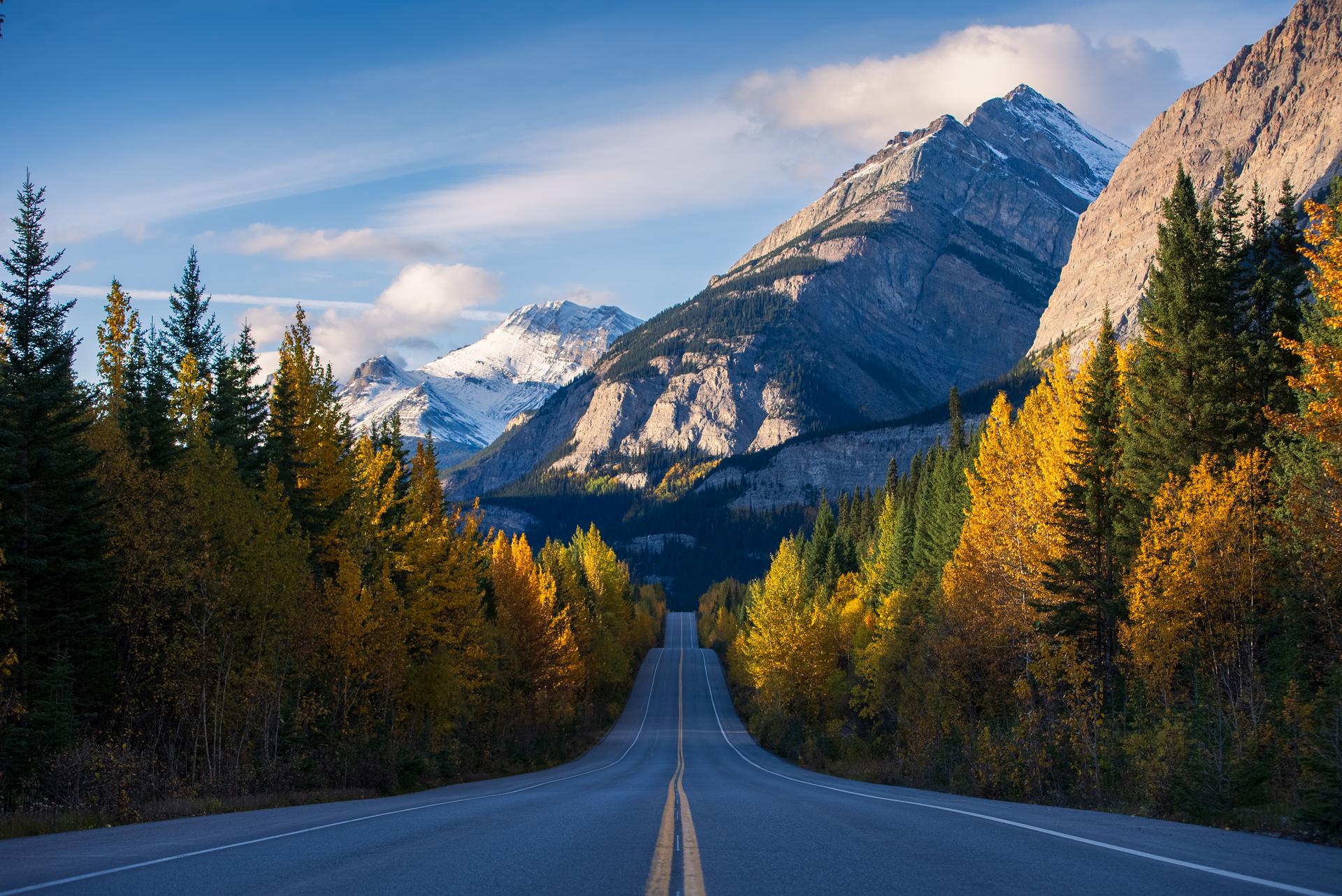 The Icefields Parkway stretches through a fall-colored forest toward snow-capped peaks in the Canadian Rockies