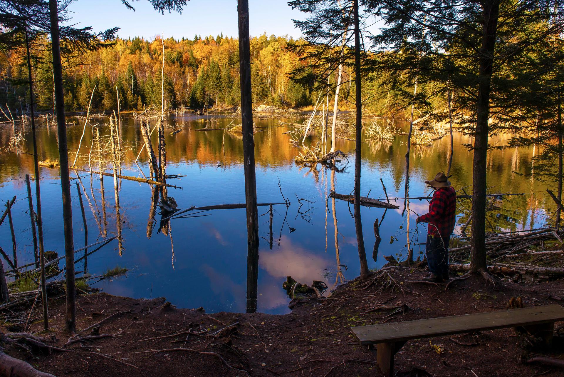 A hiker pauses beside a still beaver pond ringed by fall foliage in La Mauricie National Park, Québec