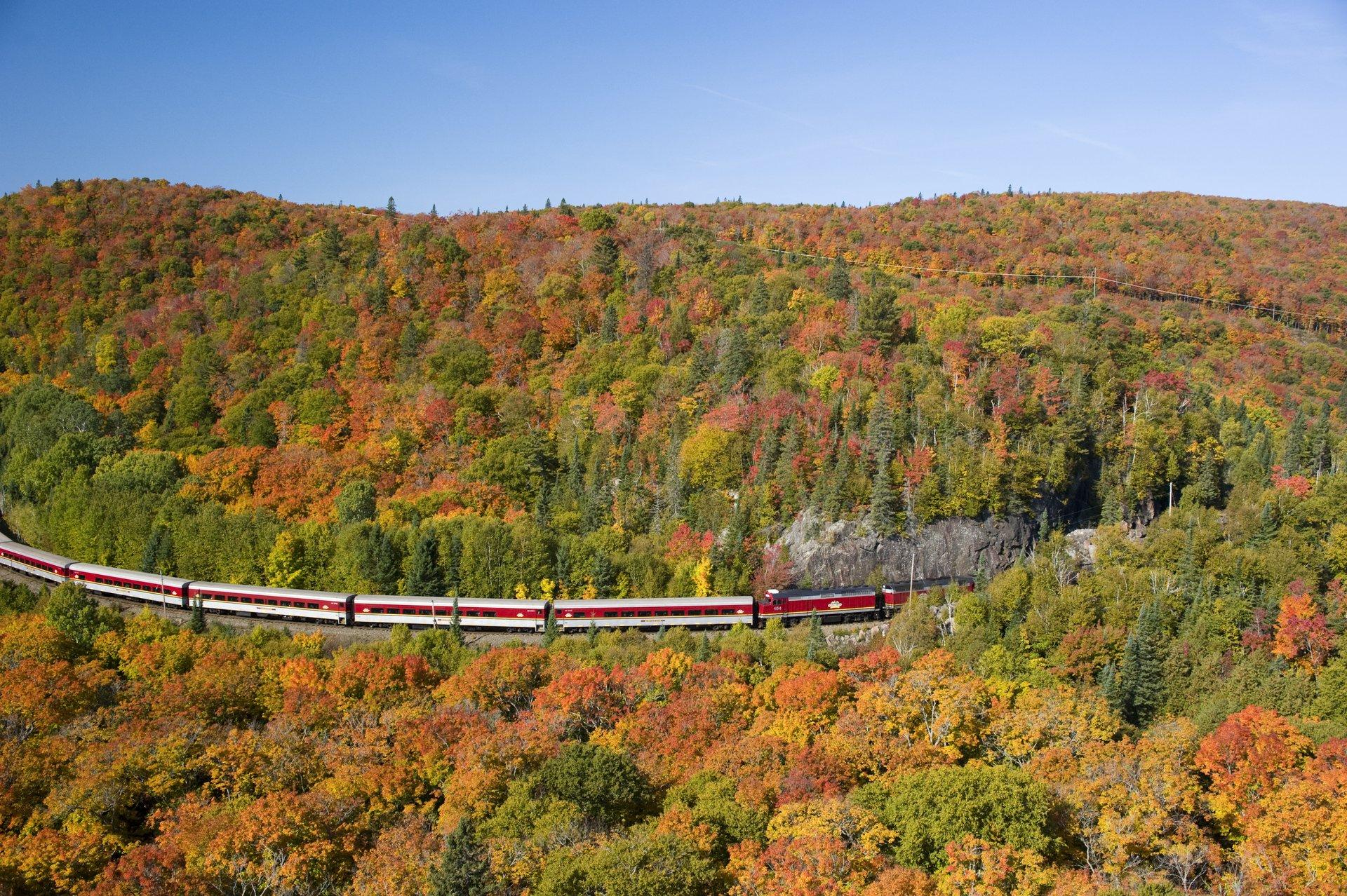 view of train traveling on track with colourful fall foliage