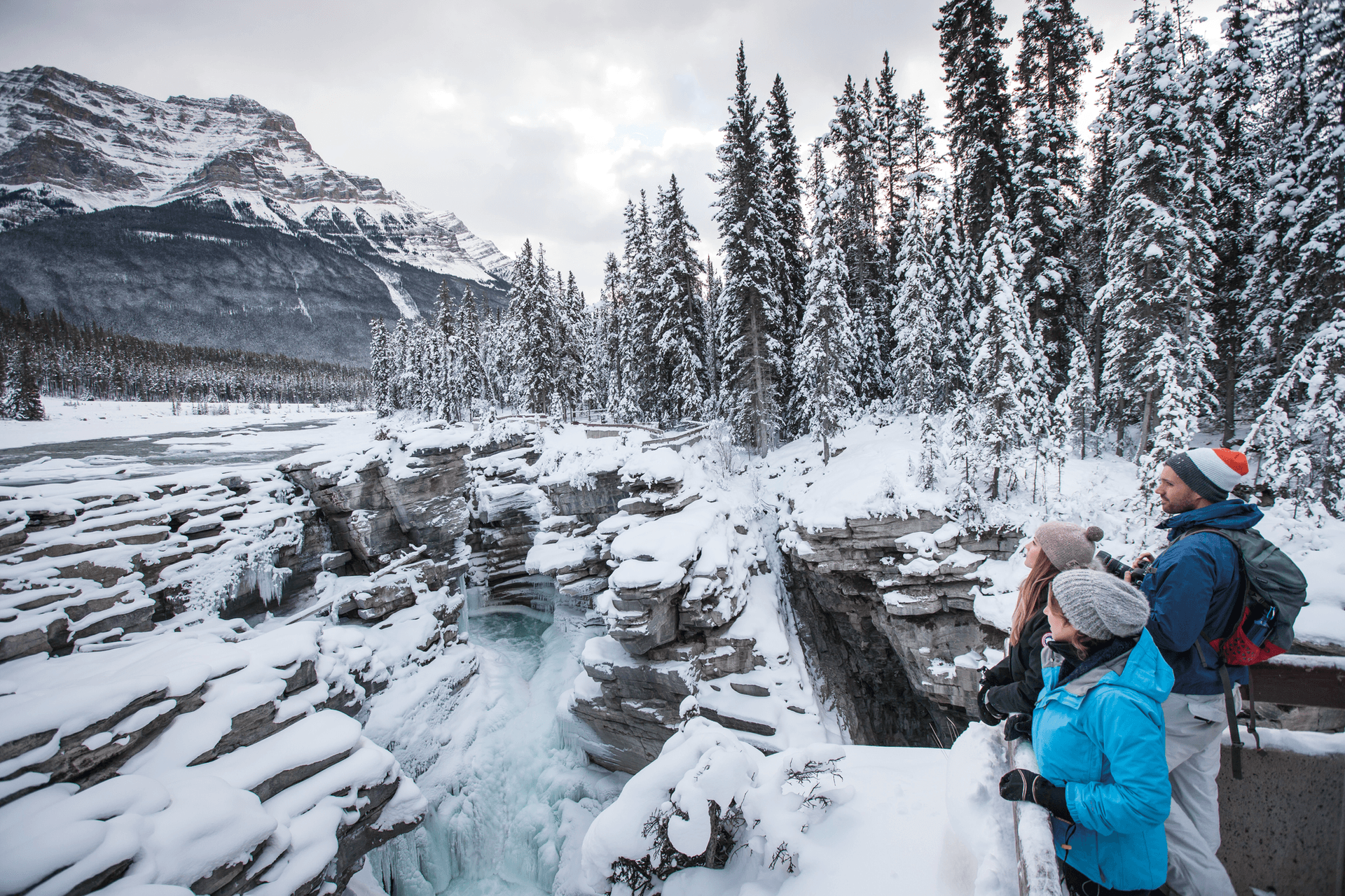 Les chutes Athabasca dans le parc national Jasper en Alberta