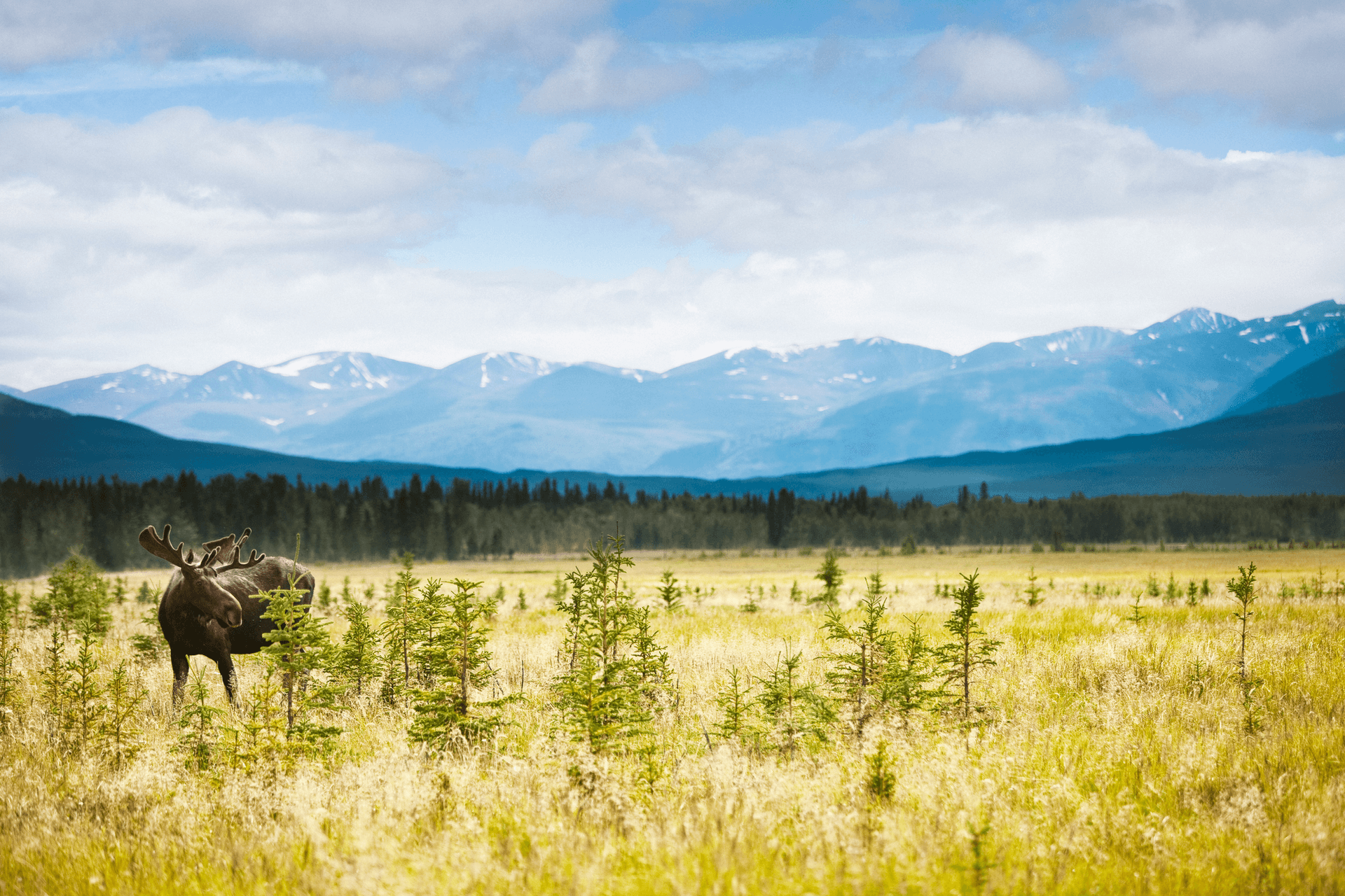 Le parc national Kluane au Yukon