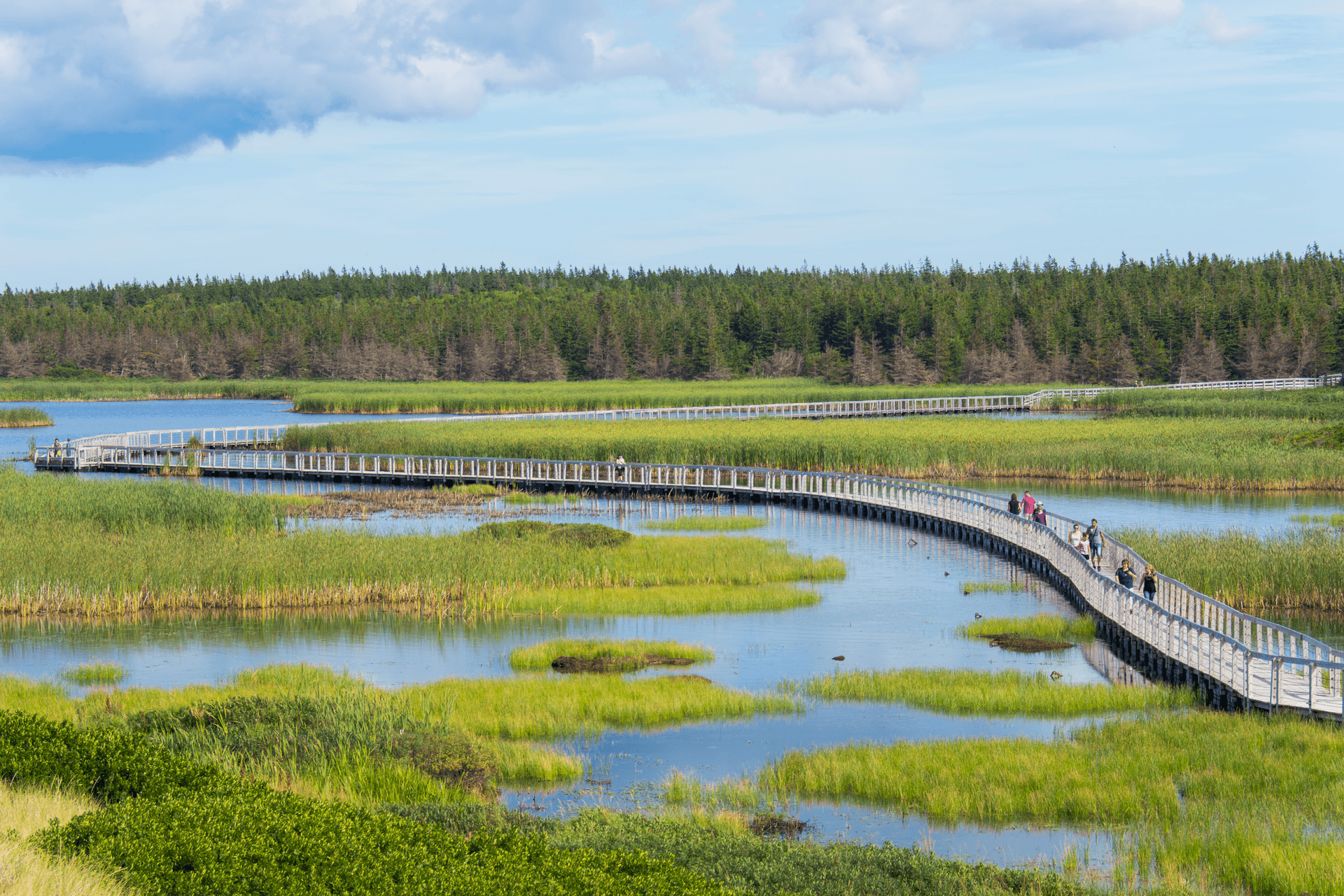 La promenade flottante de Greenwich dans le parc national de l’Île-du-Prince-Édouard