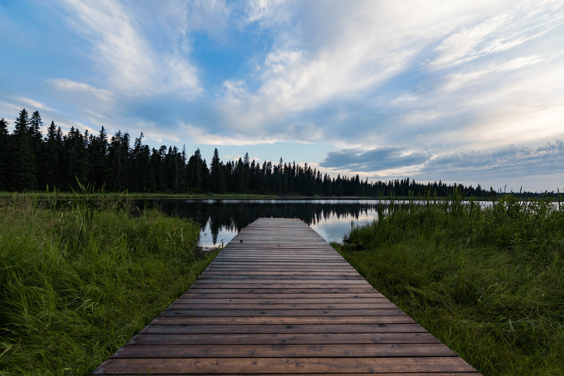 Le parc national du Mont-Riding au Manitoba