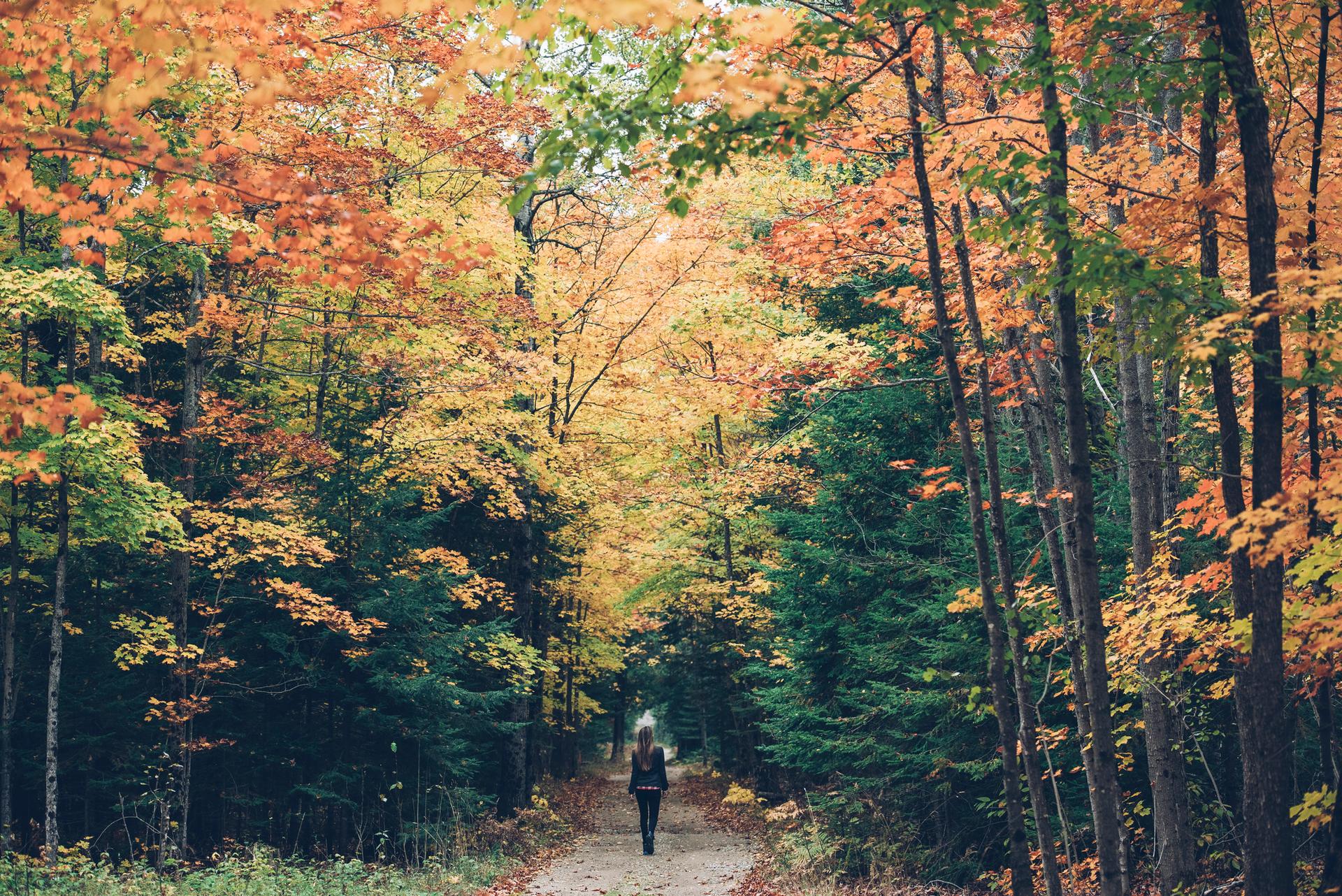 Autumn on serene Manitoulin Island 