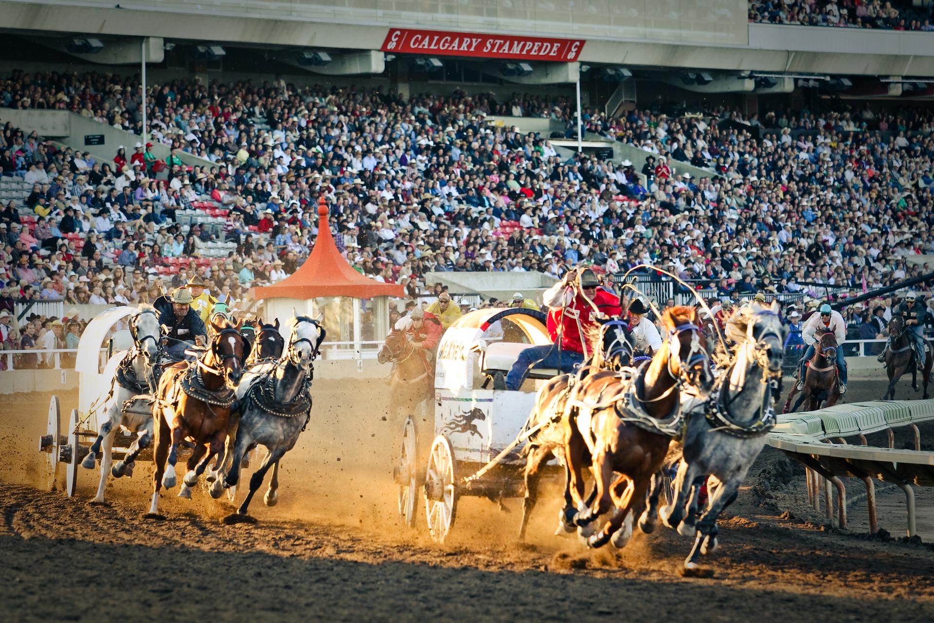 The Calgary Stampede