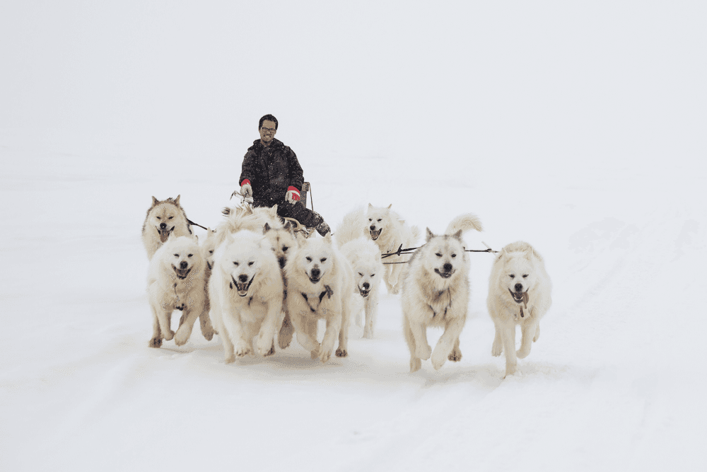 Dogsledding Baffin Island, Nunavut – credit: Sean Scott