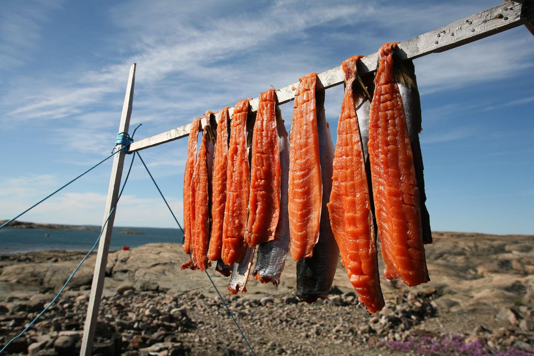 Drying char