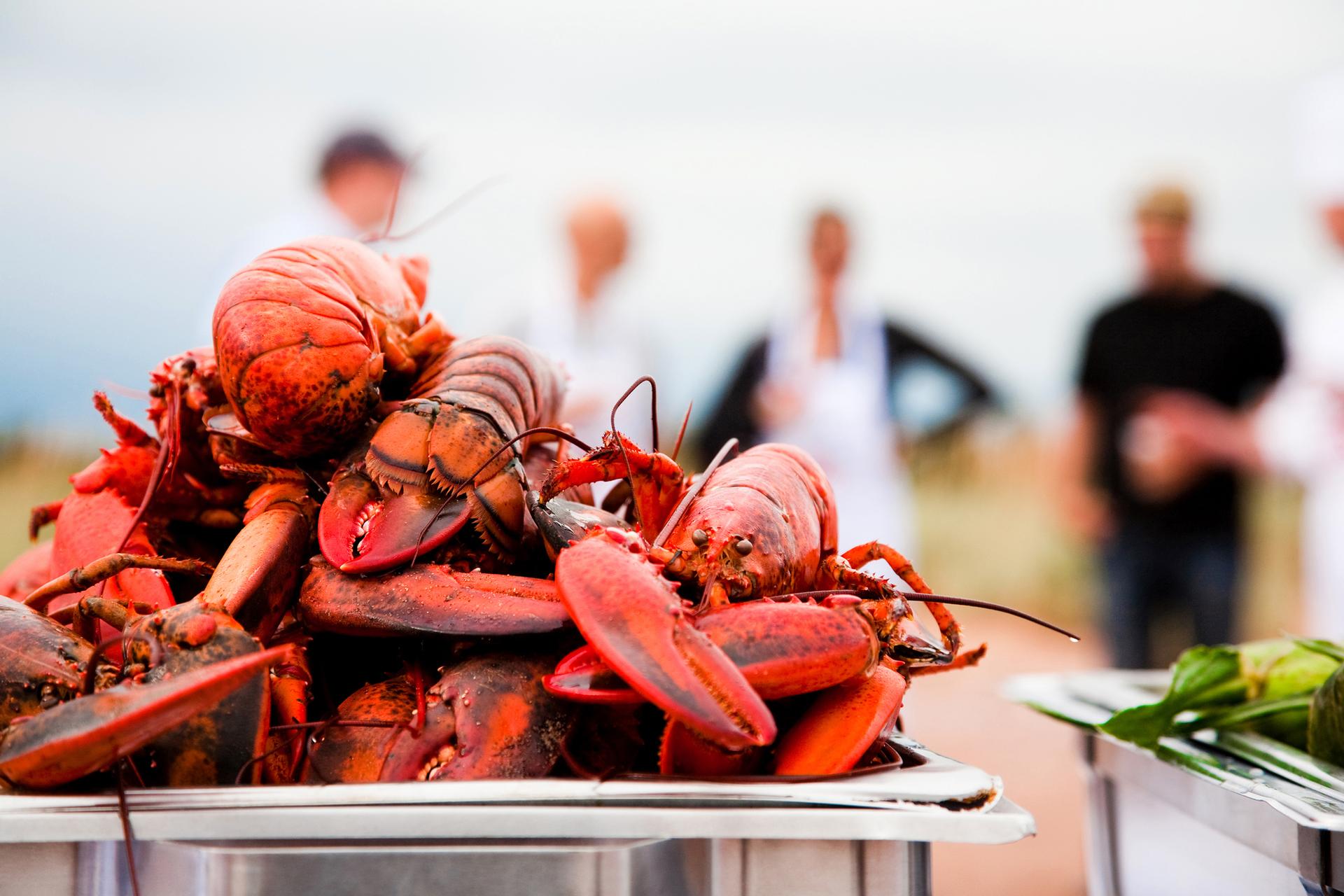 Lobster - Credit: Tourism PEI/Stephen Harris