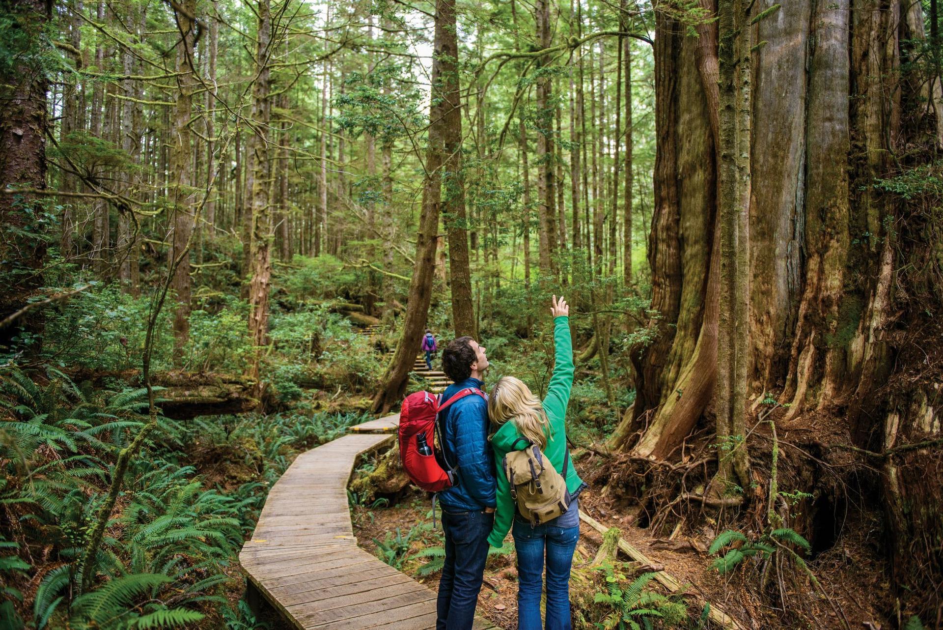 Photo of a couple hiking in Tofino