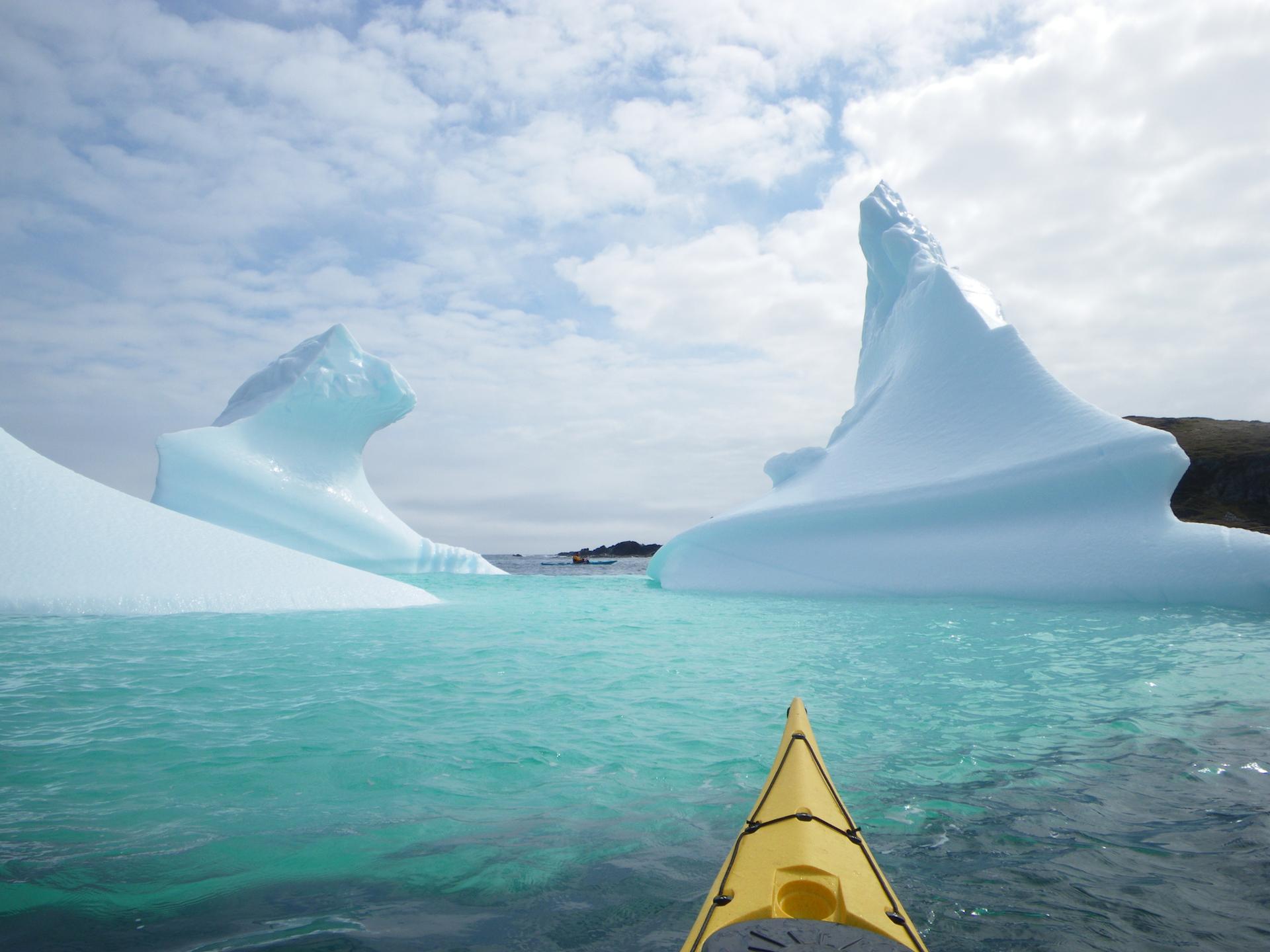 Icebergs Newfoundland