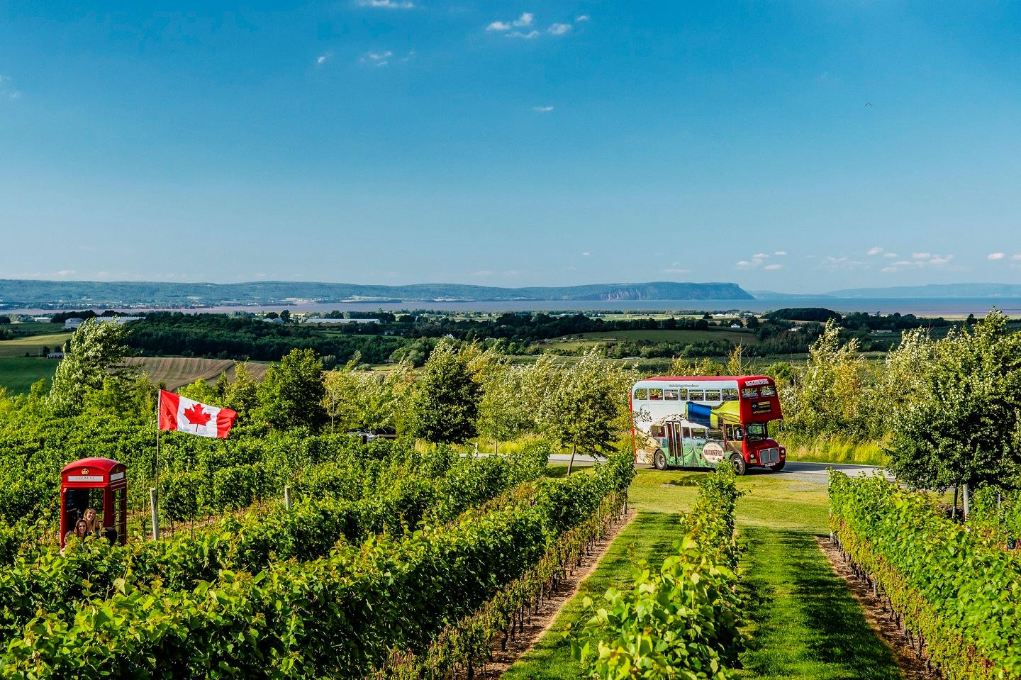 Magic Winery Bus