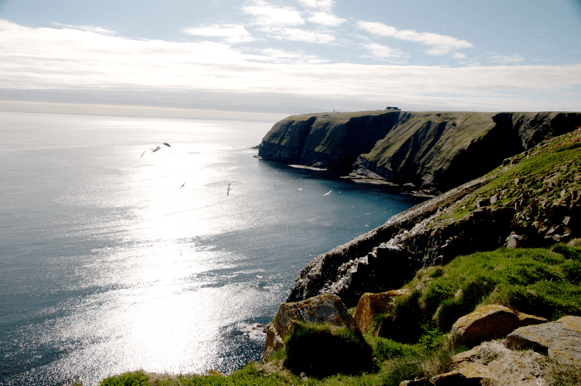 Newfoundland and Labrador Irish Loop