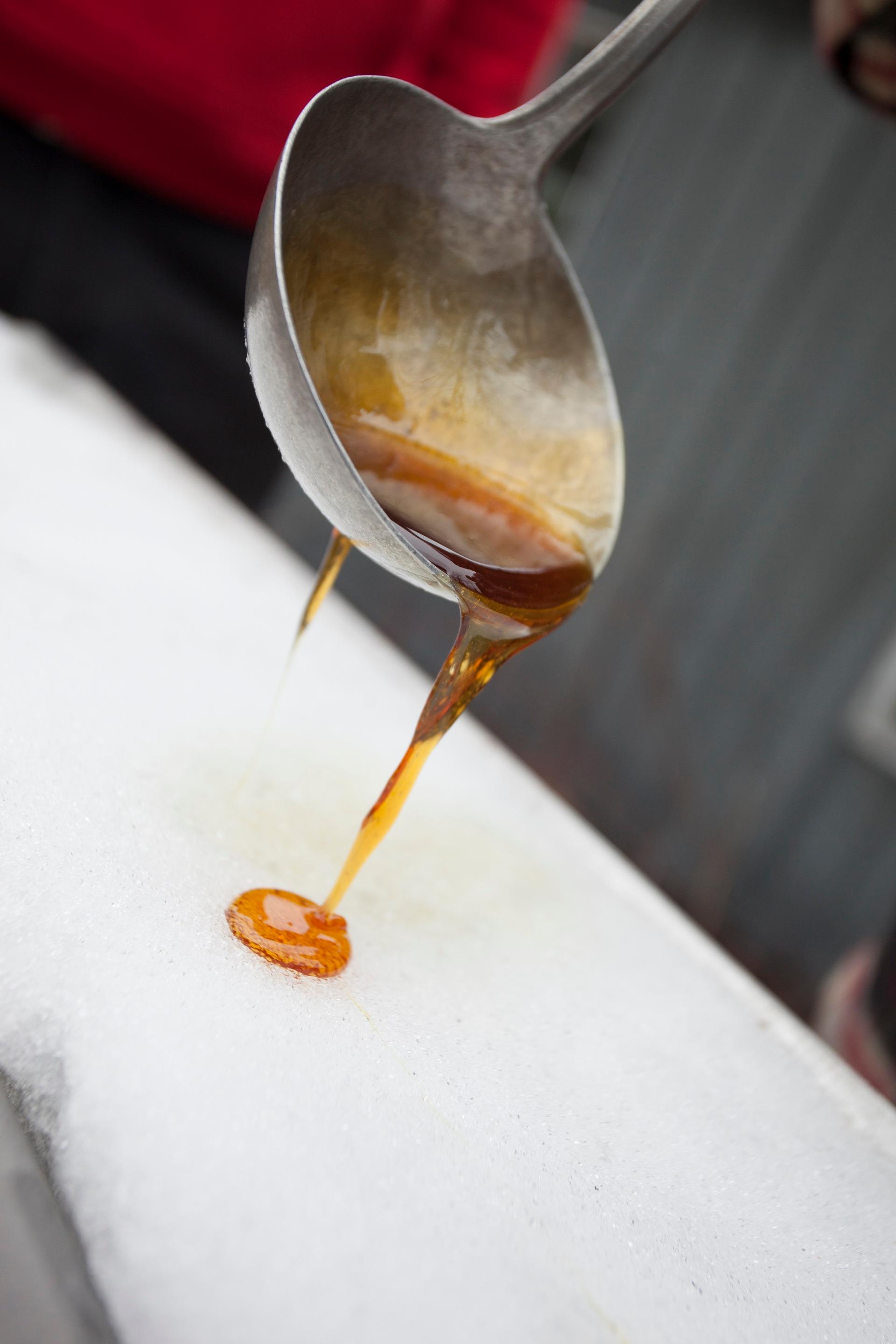 Quebec Maple Syrup