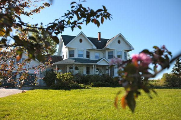 Twin Peaks B&B near Mindemoya