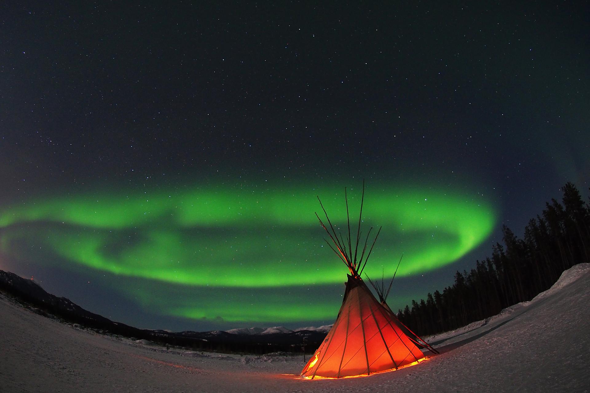 Observation des aurores boréales et de la faune, et sources thermales naturelles à Whitehorse (Yukon)