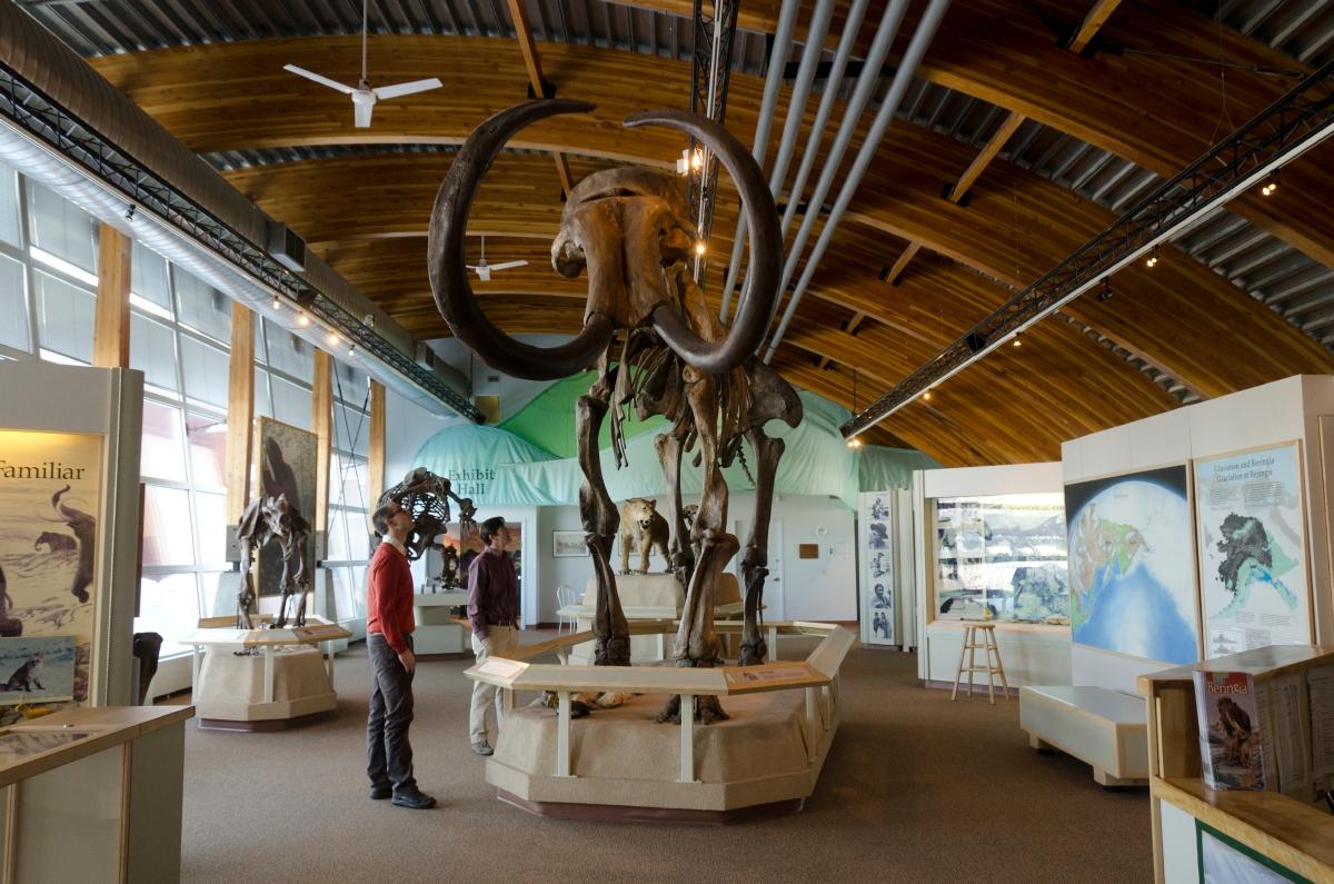 Yukon Beringia Interpretive Center