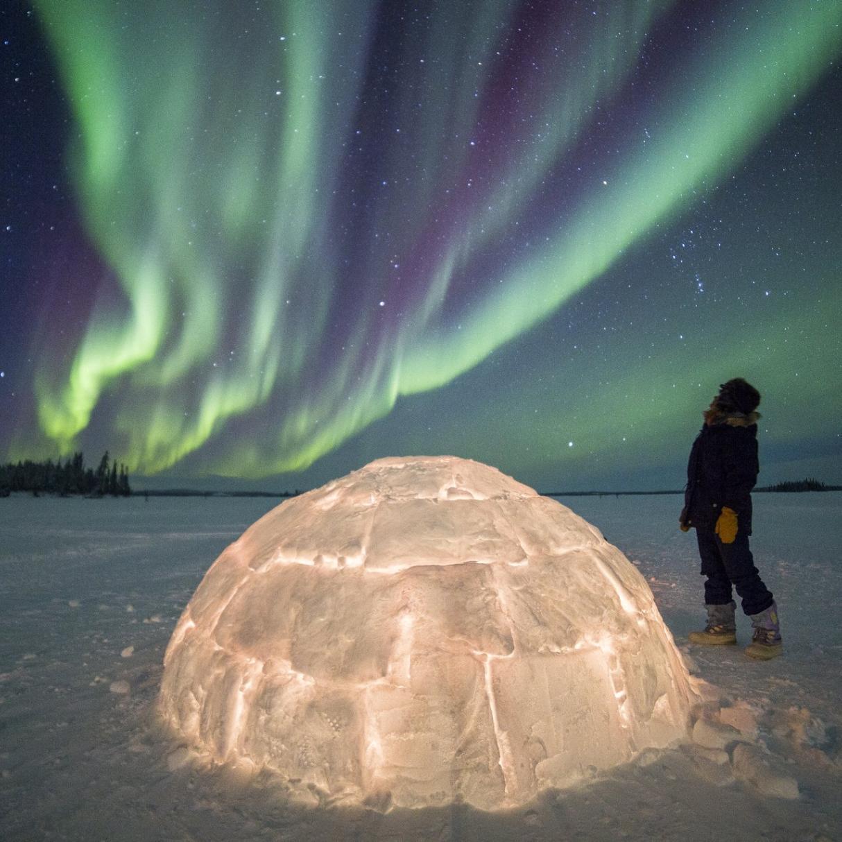 A person observes the northern lights next to an igloo