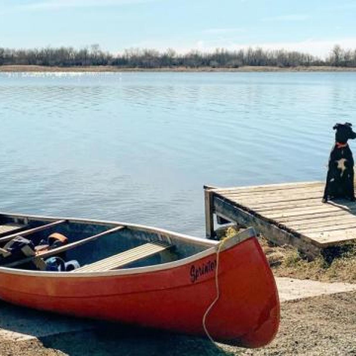 A dog sits next to a canoe on the shores of Pike Lake