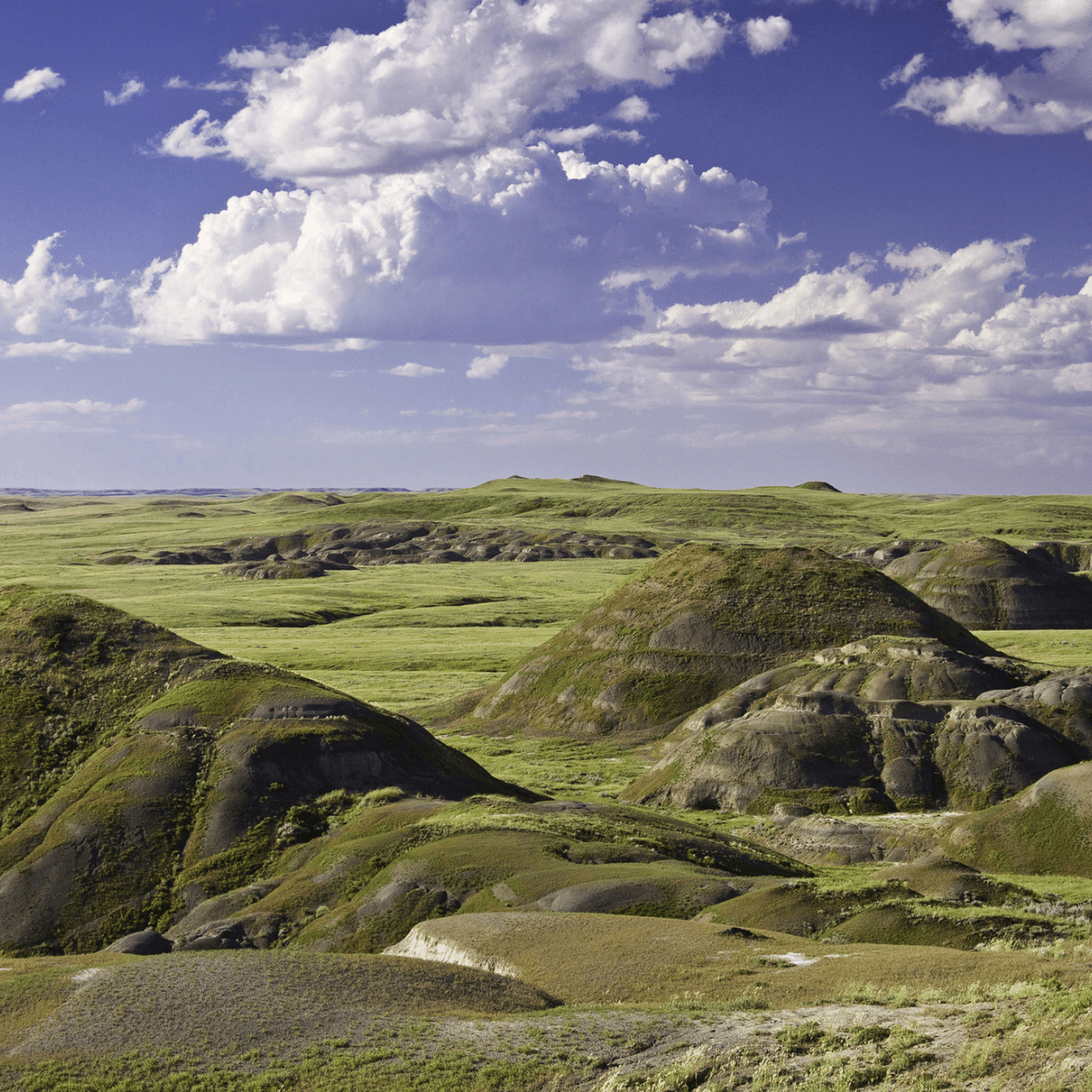 East Block, Grasslands National Park, Saskatchewan