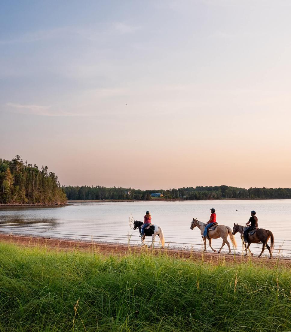 Three people riding horses on a PEI beach at dusk