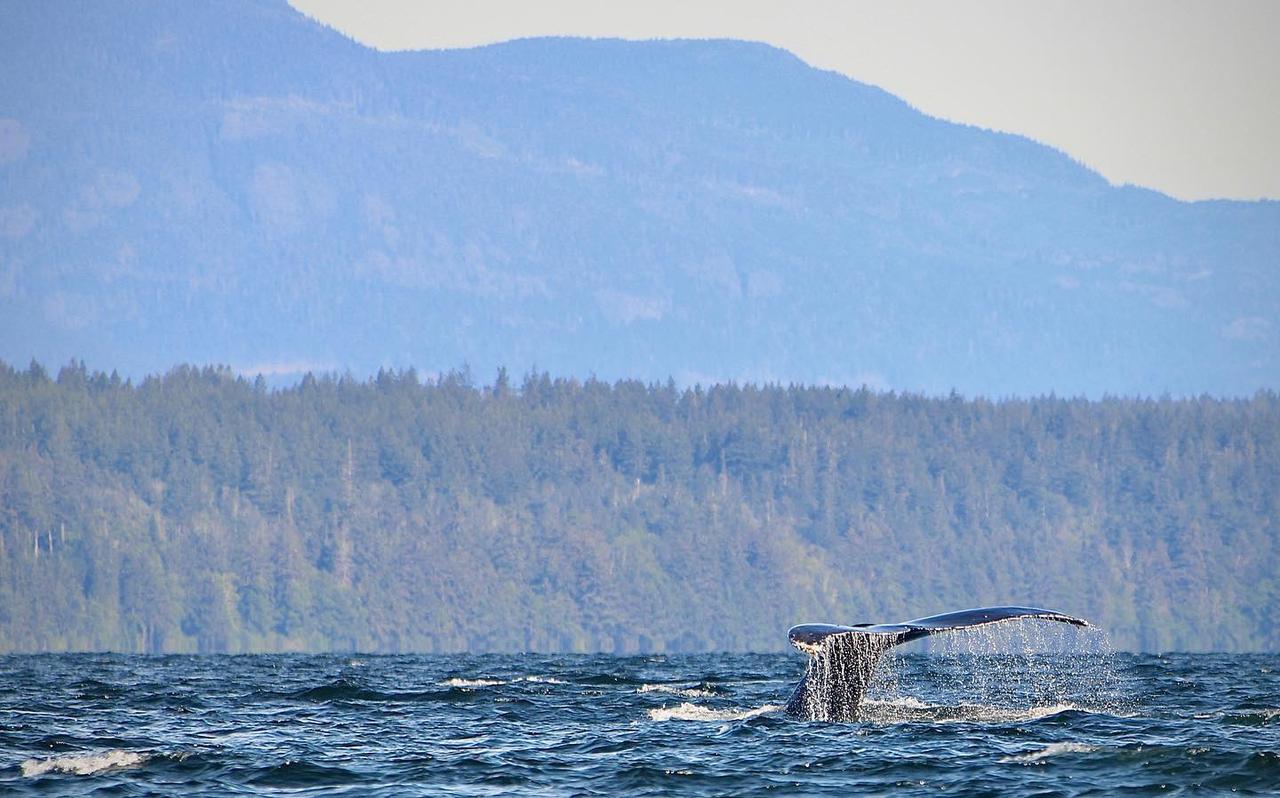 Territoires du NordOuest Destination Canada